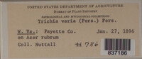 Image Associated With the Occurence